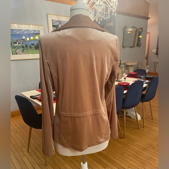 Gorgeous Velvet Dusty Rose Jacket! So soft and feminine. Chic Draping - Picture 8 of 10